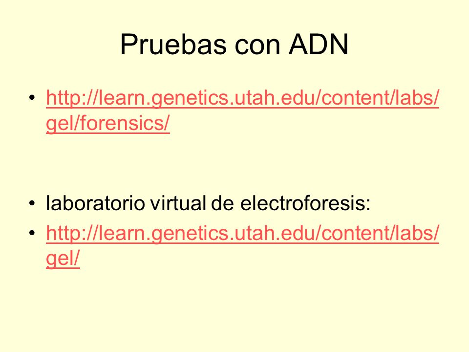 Pruebas con ADN   laboratorio virtual de electroforesis: