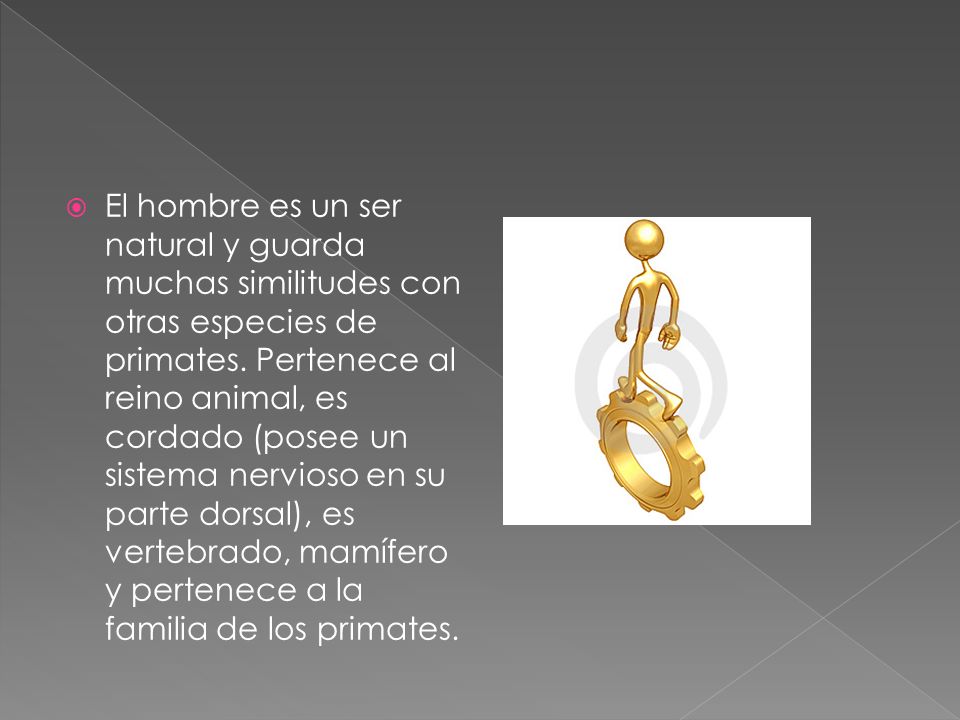 El hombre es un ser natural y guarda muchas similitudes con otras especies de primates.