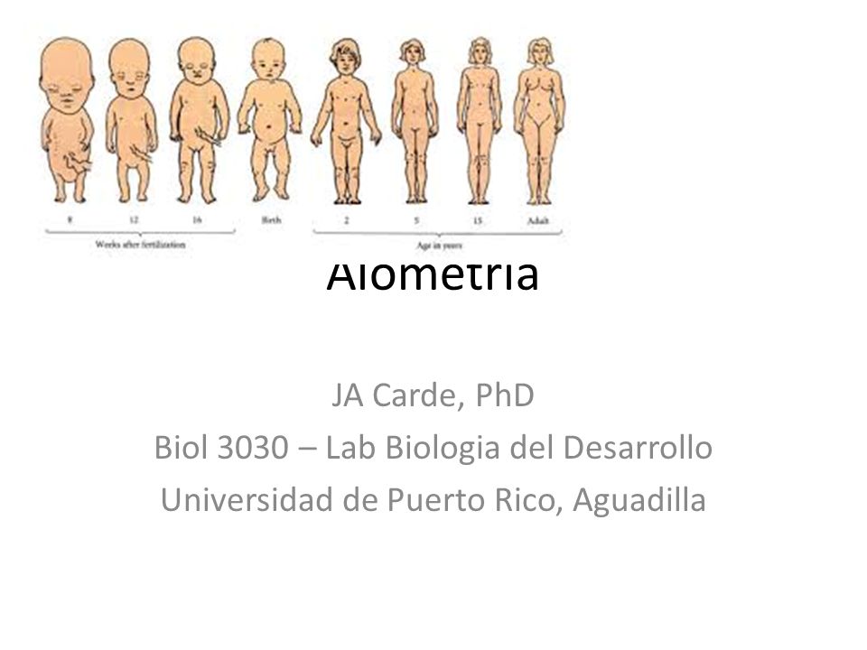 Alometría JA Carde, PhD Biol 3030 – Lab Biologia del Desarrollo
