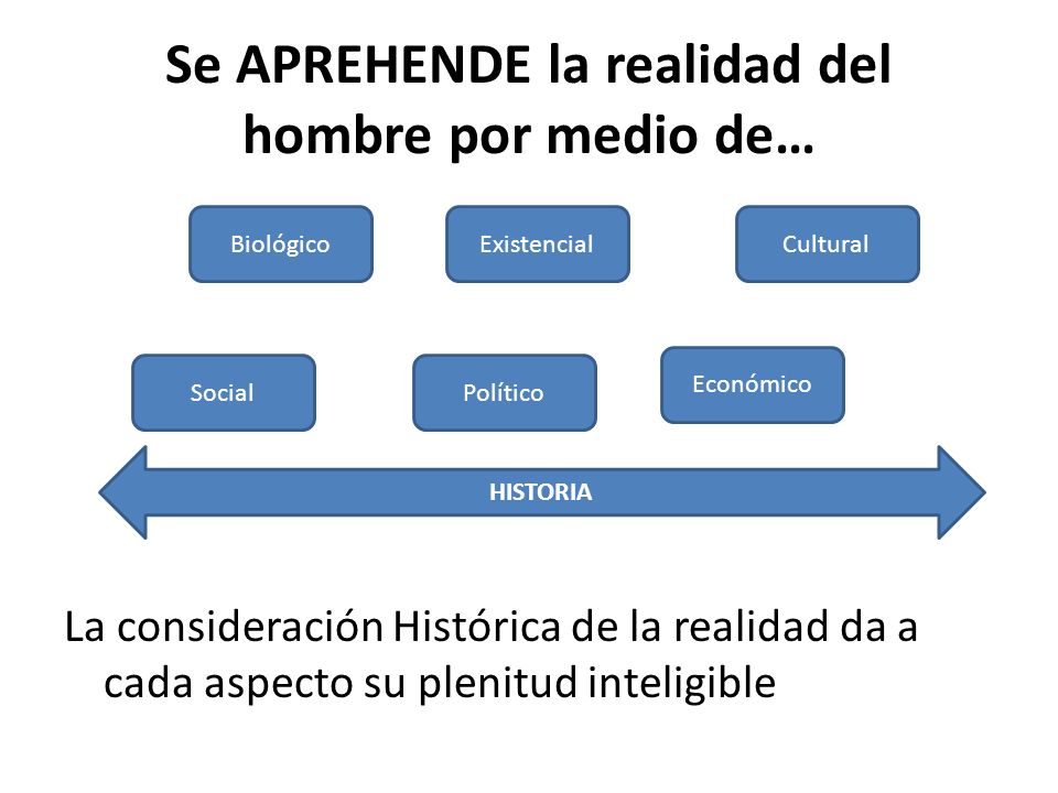 Se APREHENDE la realidad del hombre por medio de…