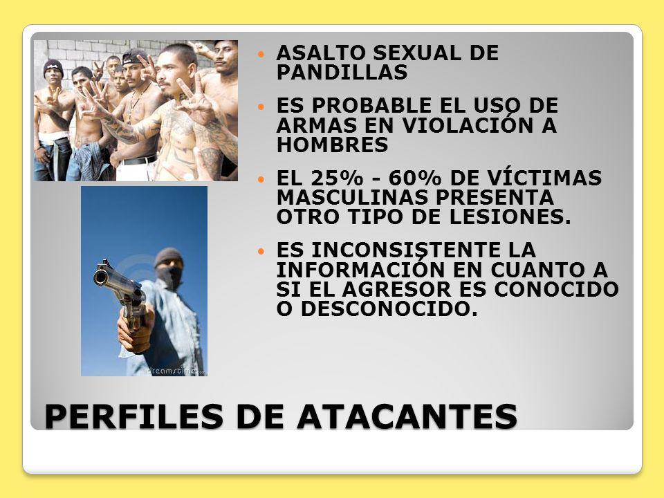 PERFILES DE ATACANTES ASALTO SEXUAL DE PANDILLAS