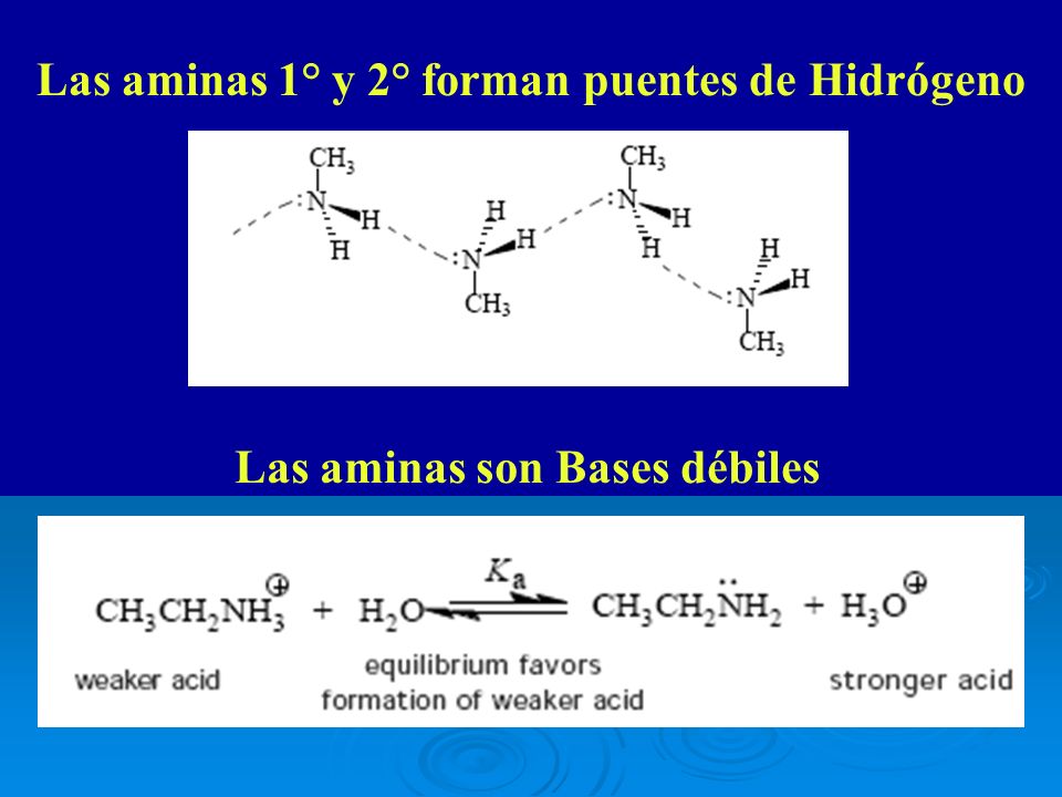 Las aminas 1° y 2° forman puentes de Hidrógeno