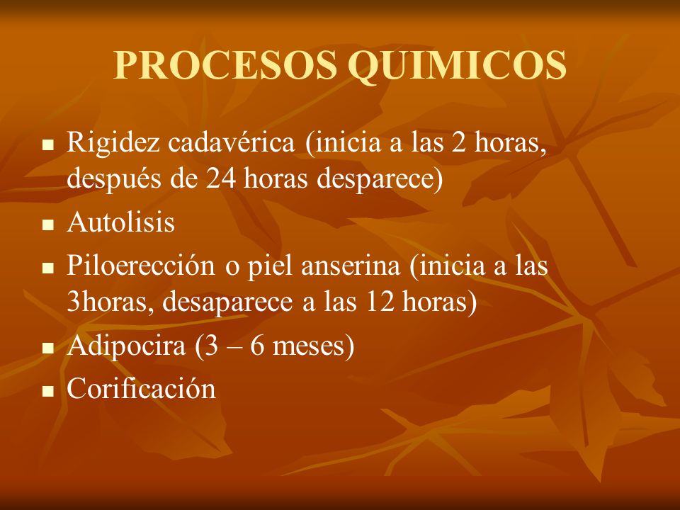 PROCESOS QUIMICOS Rigidez cadavérica (inicia a las 2 horas, después de 24 horas desparece) Autolisis.