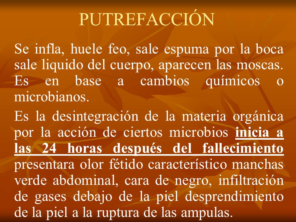 PUTREFACCIÓN Se infla, huele feo, sale espuma por la boca sale liquido del cuerpo, aparecen las moscas. Es en base a cambios químicos o microbianos.