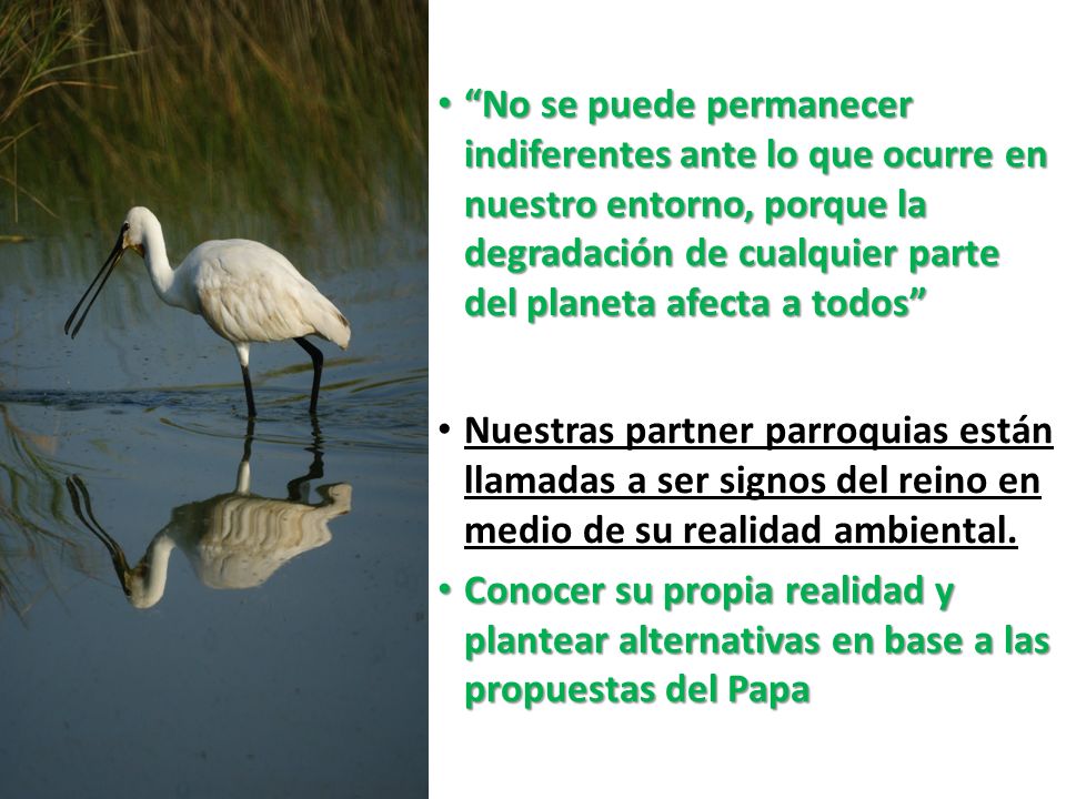 No se puede permanecer indiferentes ante lo que ocurre en nuestro entorno, porque la degradación de cualquier parte del planeta afecta a todos