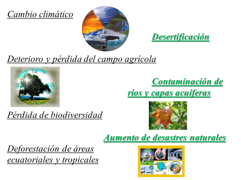 Cambio climático Desertificación. Deterioro y pérdida del campo agrícola. Contaminación de ríos y capas acuíferas.