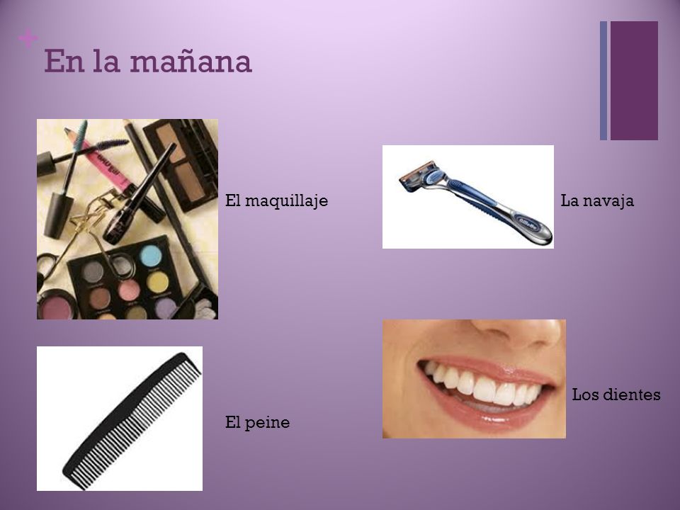 En la mañana El maquillaje La navaja Los dientes El peine