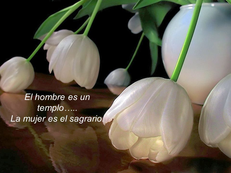 El hombre es un templo….. La mujer es el sagrario.