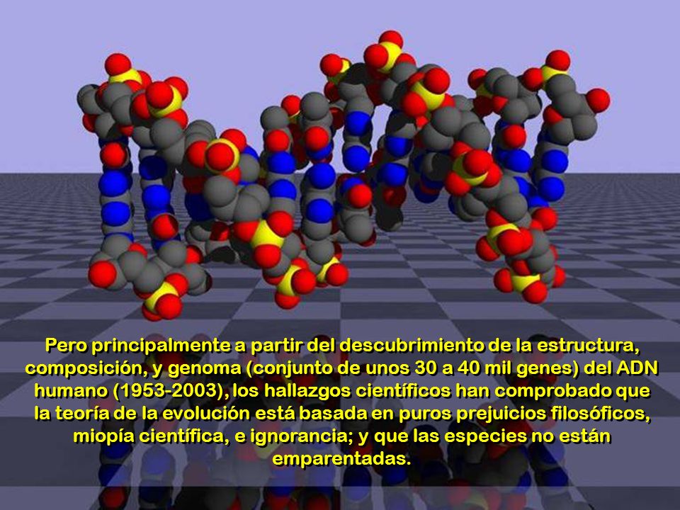 Pero principalmente a partir del descubrimiento de la estructura, composición, y genoma (conjunto de unos 30 a 40 mil genes) del ADN humano ( ), los hallazgos científicos han comprobado que la teoría de la evolución está basada en puros prejuicios filosóficos, miopía científica, e ignorancia; y que las especies no están emparentadas.