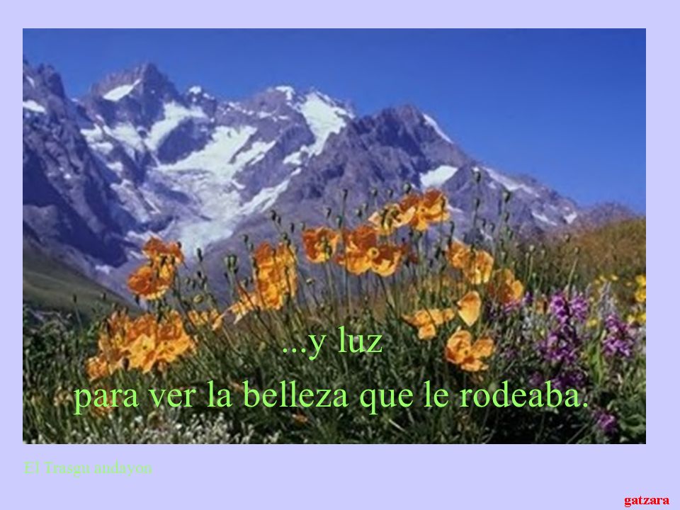 para ver la belleza que le rodeaba.