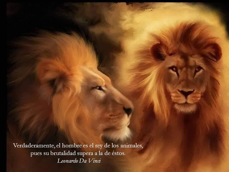 Verdaderamente, el hombre es el rey de los animales, pues su brutalidad supera a la de éstos.