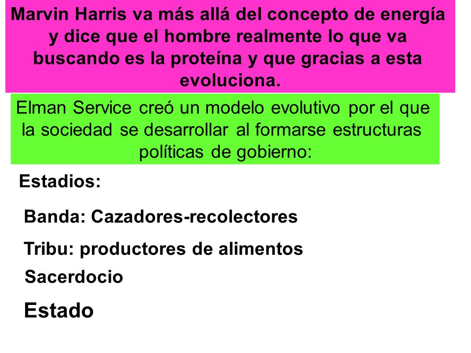 Estado Marvin Harris va más allá del concepto de energía