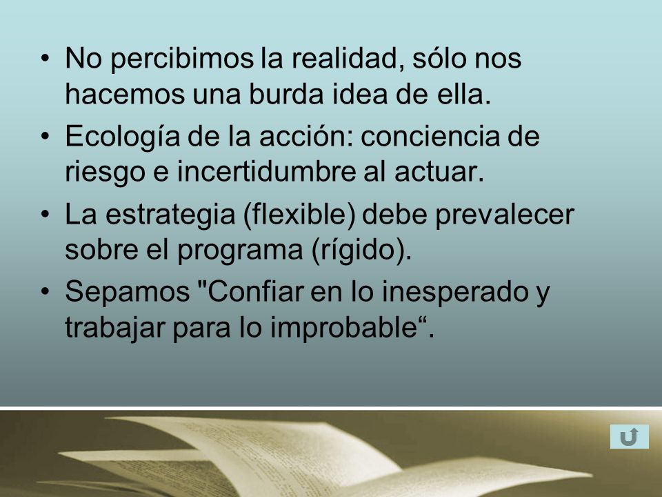 No percibimos la realidad, sólo nos hacemos una burda idea de ella.