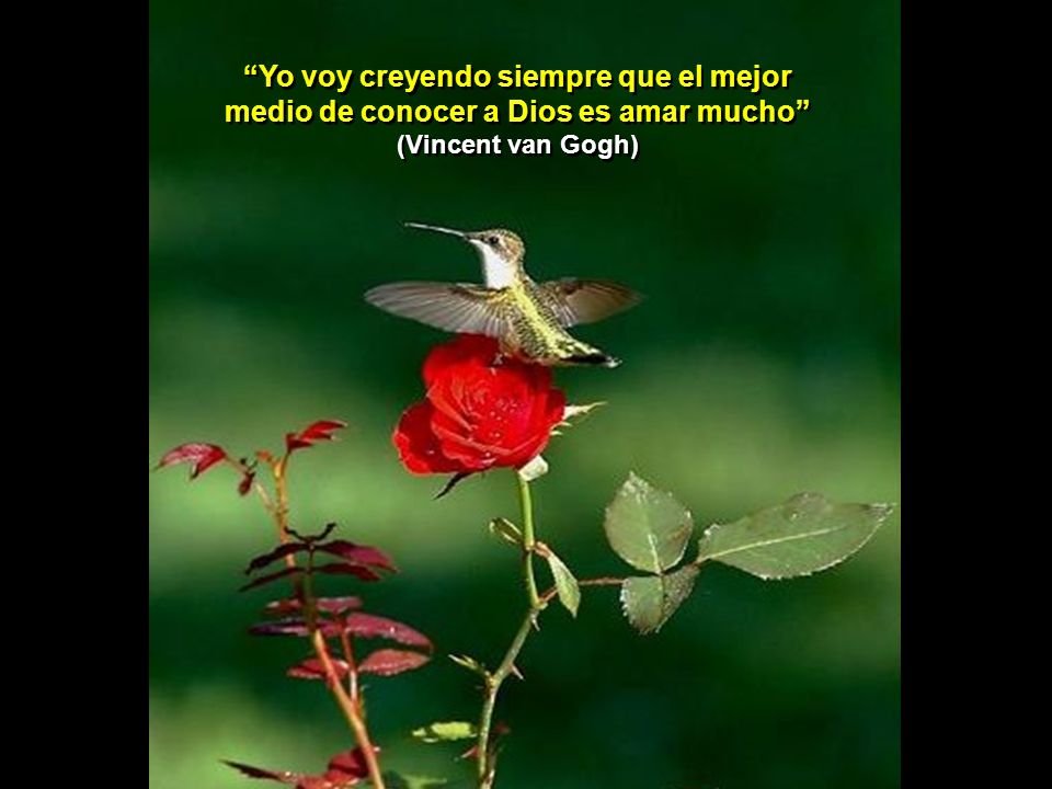 Yo voy creyendo siempre que el mejor medio de conocer a Dios es amar mucho (Vincent van Gogh)
