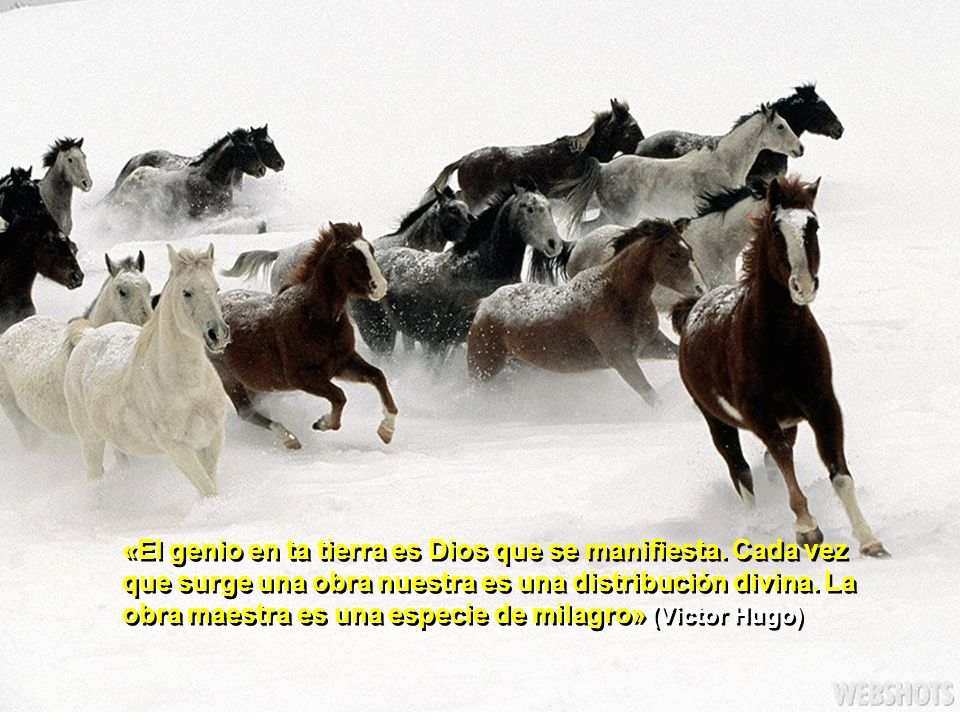 «El genio en ta tierra es Dios que se manifiesta