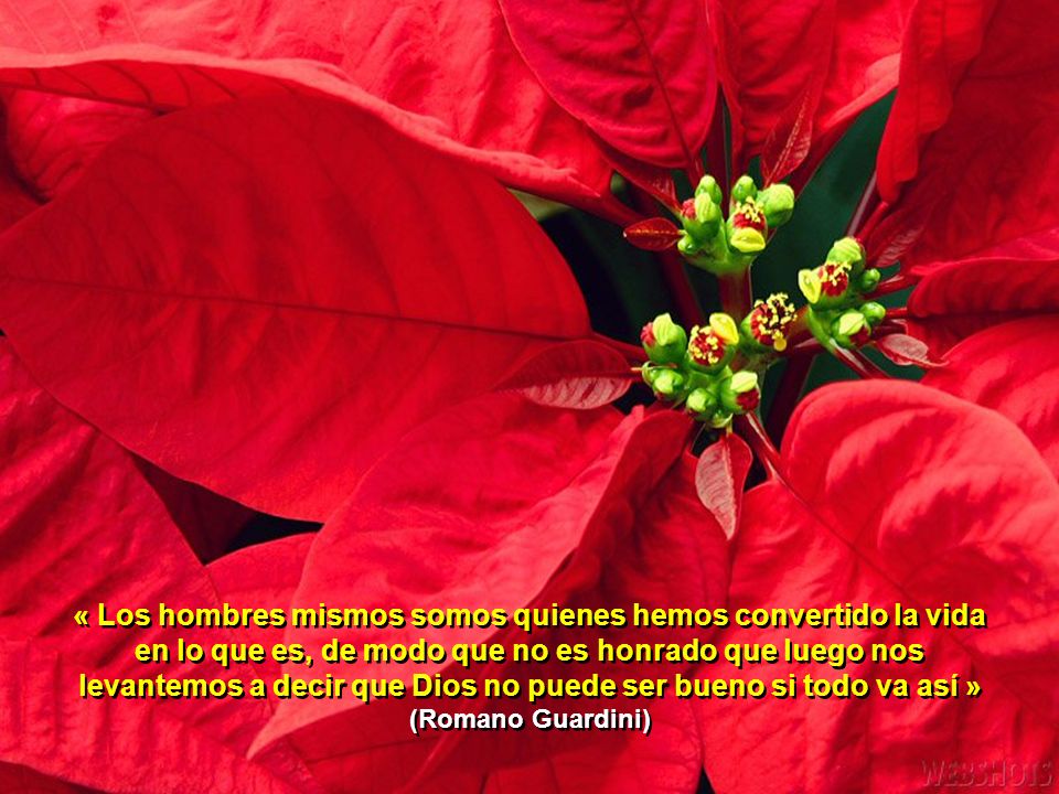 « Los hombres mismos somos quienes hemos convertido la vida en lo que es, de modo que no es honrado que luego nos levantemos a decir que Dios no puede ser bueno si todo va así » (Romano Guardini)