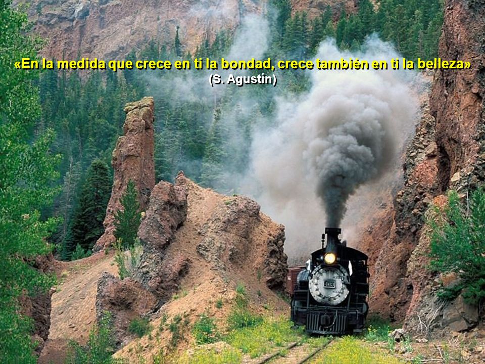 «En la medida que crece en ti la bondad, crece también en ti la belleza» (S. Agustín)