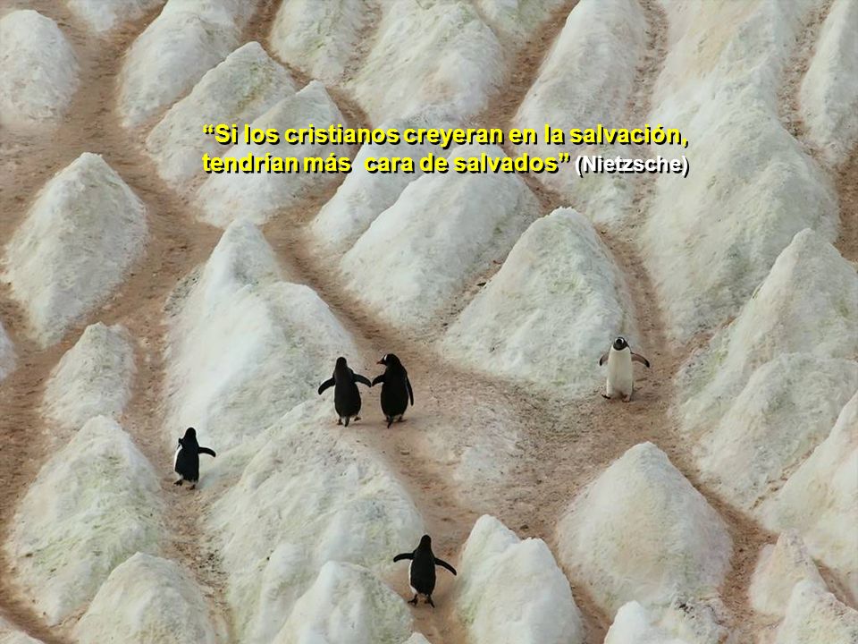 Si los cristianos creyeran en la salvación, tendrían más cara de salvados (Nietzsche)