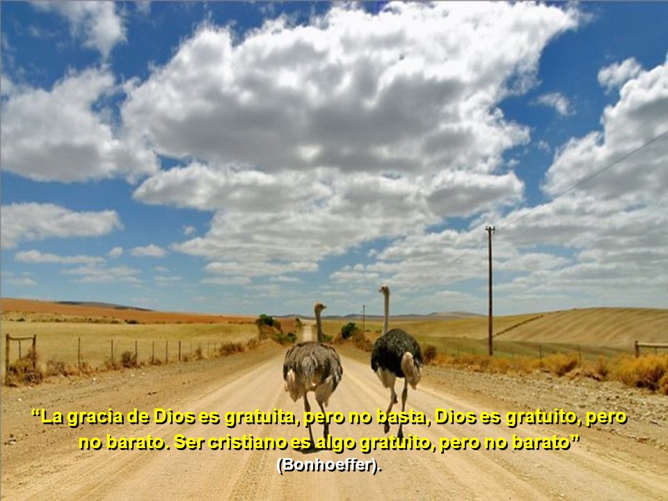 La gracia de Dios es gratuita, pero no basta, Dios es gratuito, pero no barato.