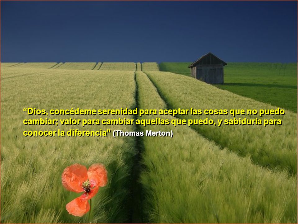 Dios, concédeme serenidad para aceptar las cosas que no puedo cambiar; valor para cambiar aquellas que puedo, y sabiduría para conocer la diferencia (Thomas Merton)