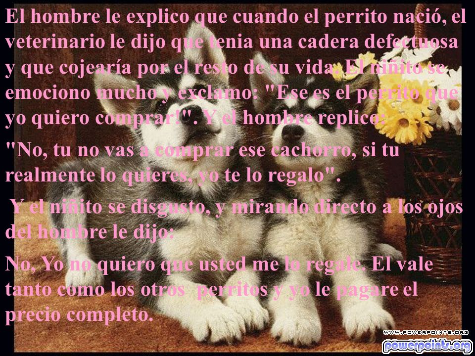 El hombre le explico que cuando el perrito nació, el veterinario le dijo que tenia una cadera defectuosa y que cojearía por el resto de su vida. El niñito se emociono mucho y exclamo: Ese es el perrito que yo quiero comprar! . Y el hombre replico: