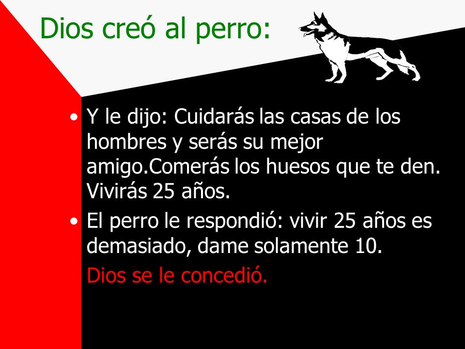 Dios creó al perro: Y le dijo: Cuidarás las casas de los hombres y serás su mejor amigo.Comerás los huesos que te den. Vivirás 25 años.