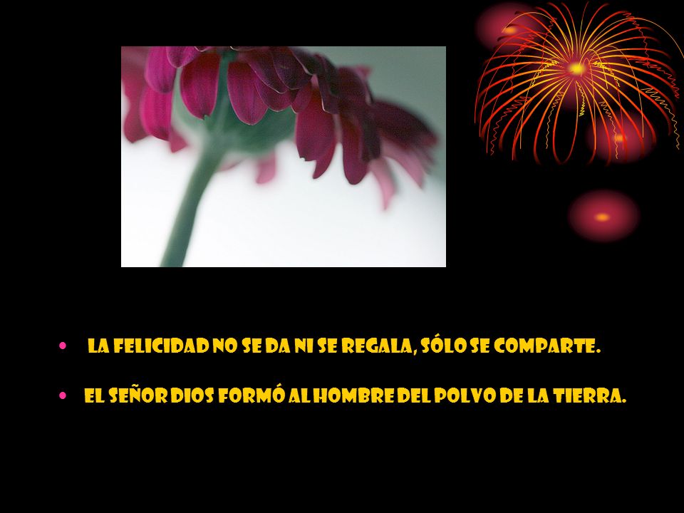 La felicidad no se da ni se regala, sólo se comparte.