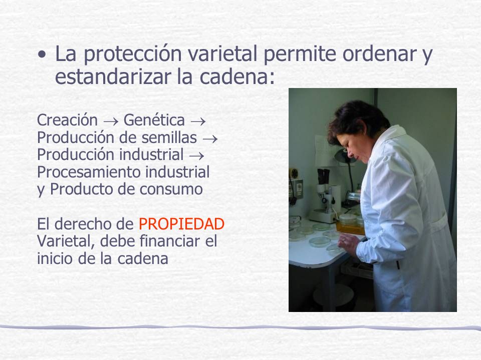 La protección varietal permite ordenar y estandarizar la cadena: