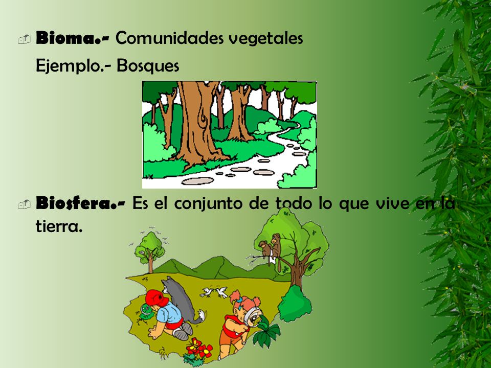 Bioma.- Comunidades vegetales