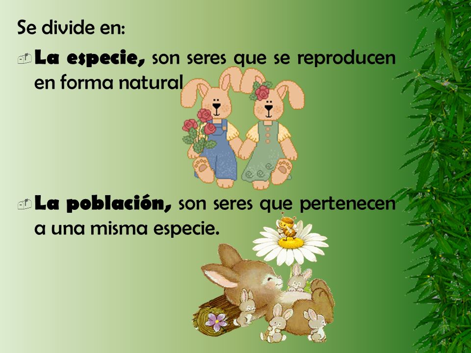 Se divide en: La especie, son seres que se reproducen en forma natural.