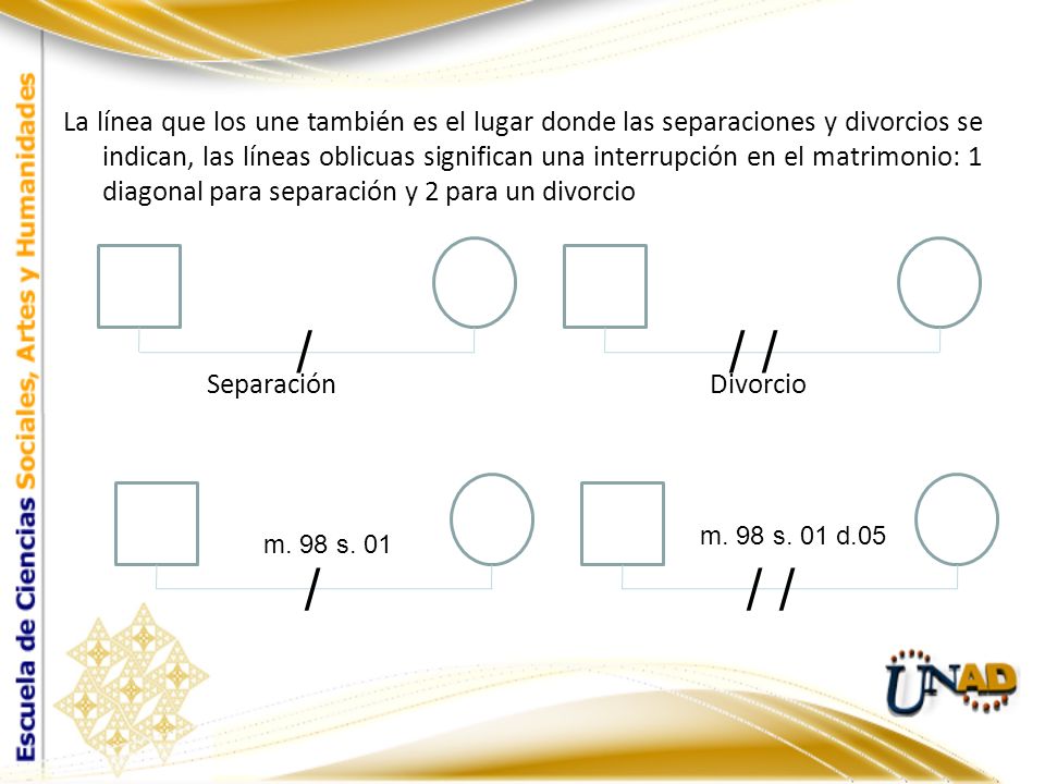 La línea que los une también es el lugar donde las separaciones y divorcios se indican, las líneas oblicuas significan una interrupción en el matrimonio: 1 diagonal para separación y 2 para un divorcio Separación Divorcio