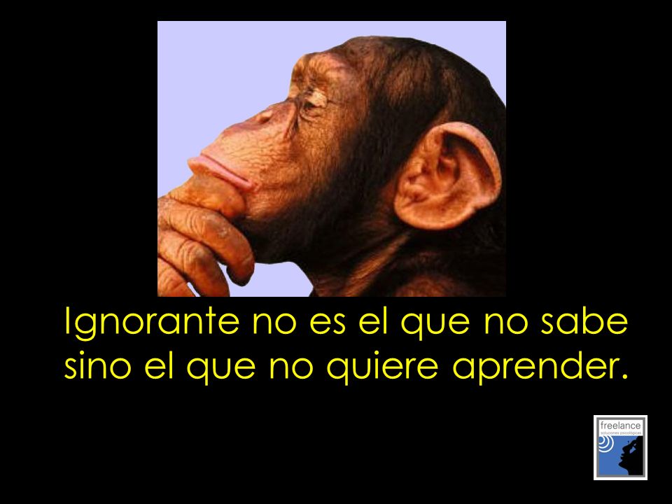 Ignorante no es el que no sabe sino el que no quiere aprender.