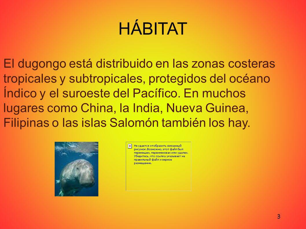 HÁBITAT