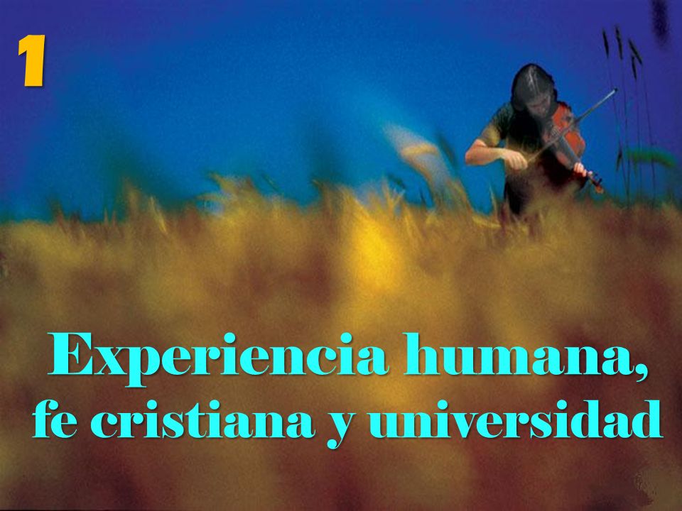 fe cristiana y universidad