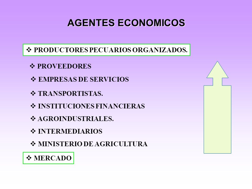 AGENTES ECONOMICOS PRODUCTORES PECUARIOS ORGANIZADOS. PROVEEDORES