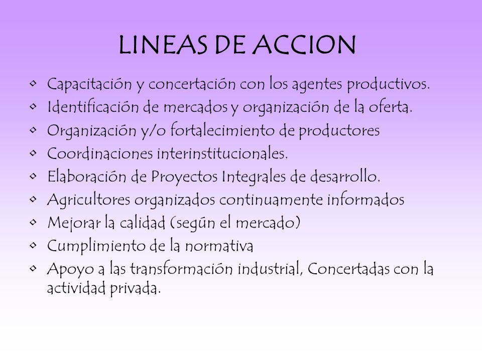 LINEAS DE ACCION Capacitación y concertación con los agentes productivos. Identificación de mercados y organización de la oferta.