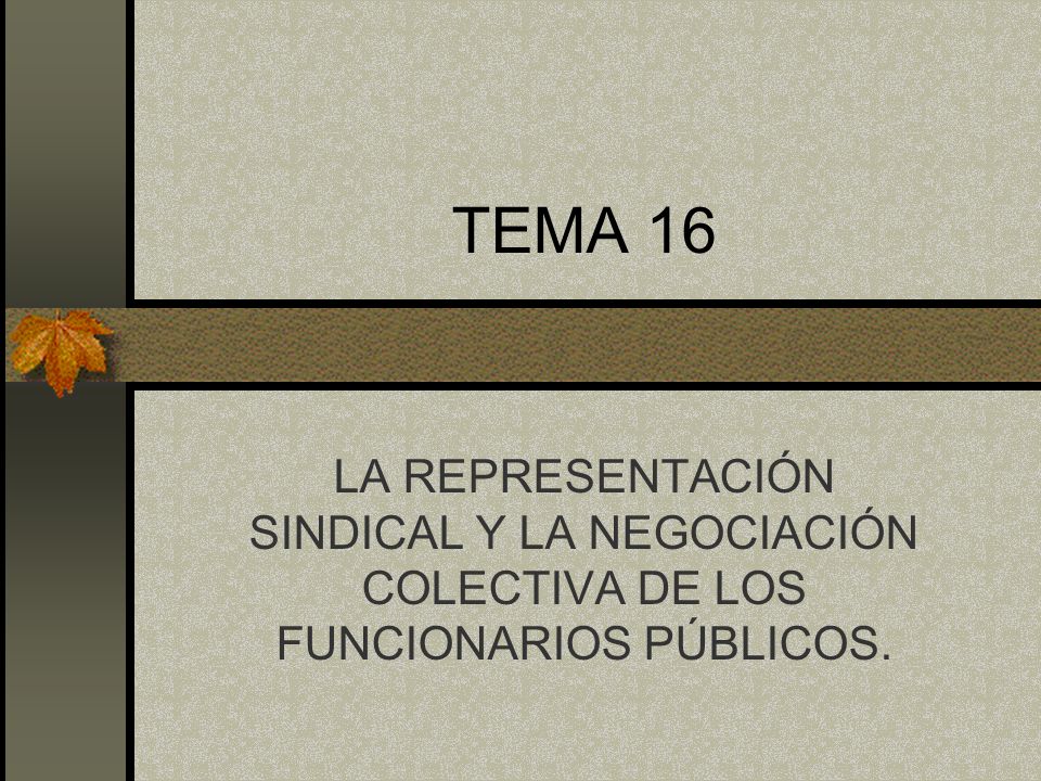 TEMA 16 LA REPRESENTACIÓN SINDICAL Y LA NEGOCIACIÓN COLECTIVA DE LOS FUNCIONARIOS PÚBLICOS.