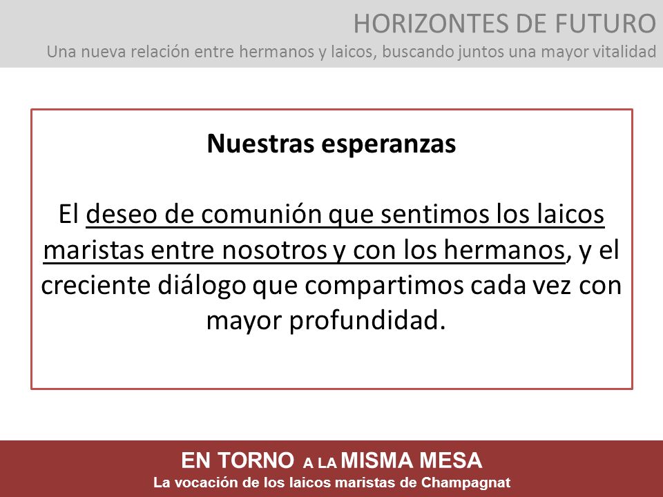 HORIZONTES DE FUTURO Una nueva relación entre hermanos y laicos, buscando juntos una mayor vitalidad