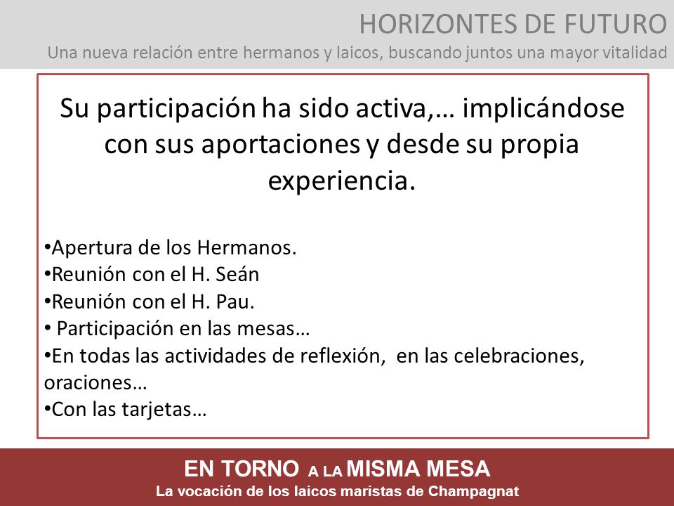 HORIZONTES DE FUTURO Una nueva relación entre hermanos y laicos, buscando juntos una mayor vitalidad