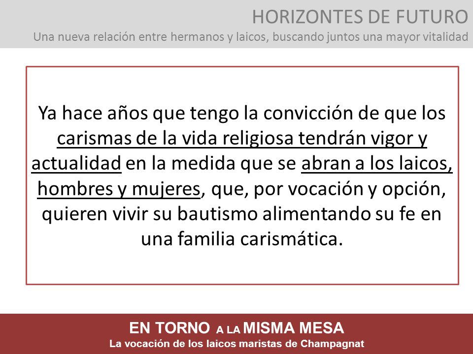 HORIZONTES DE FUTURO Una nueva relación entre hermanos y laicos, buscando juntos una mayor vitalidad