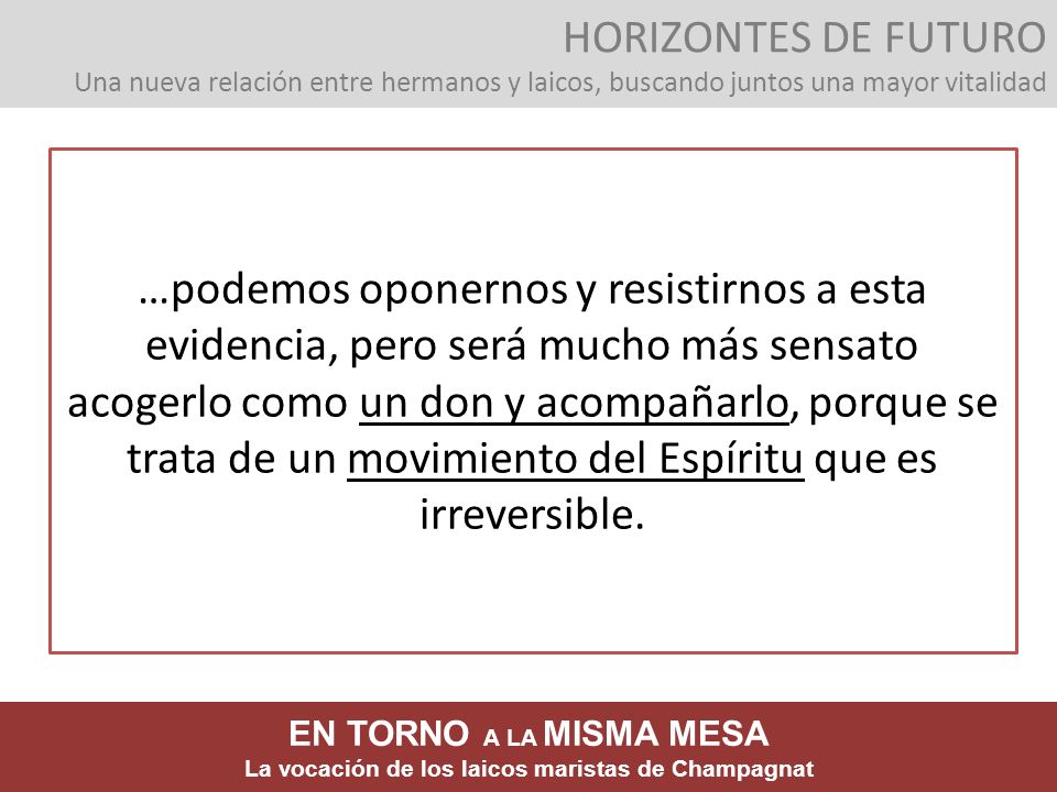 HORIZONTES DE FUTURO Una nueva relación entre hermanos y laicos, buscando juntos una mayor vitalidad