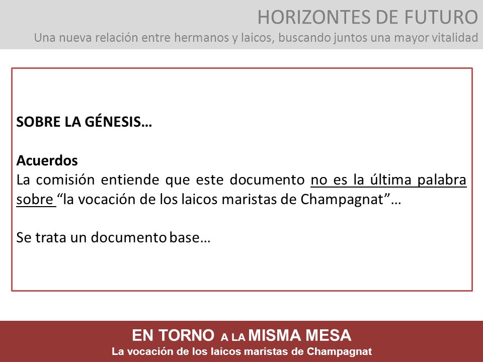HORIZONTES DE FUTURO Una nueva relación entre hermanos y laicos, buscando juntos una mayor vitalidad