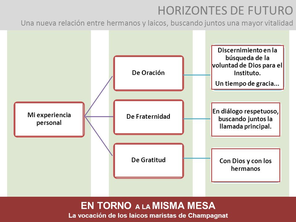HORIZONTES DE FUTURO Una nueva relación entre hermanos y laicos, buscando juntos una mayor vitalidad