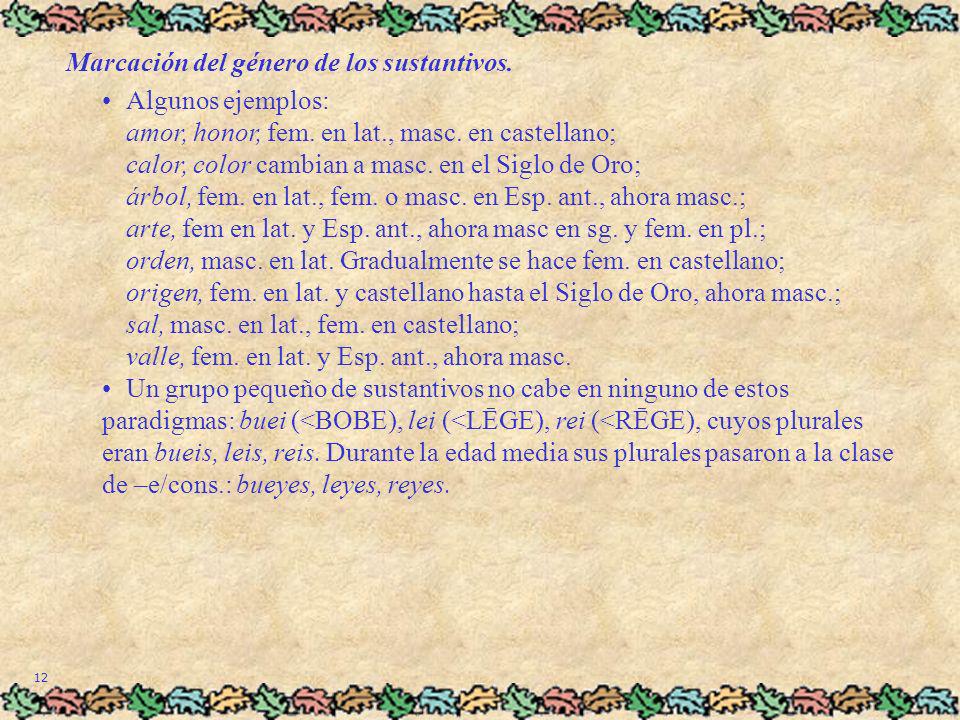 Marcación del género de los sustantivos.