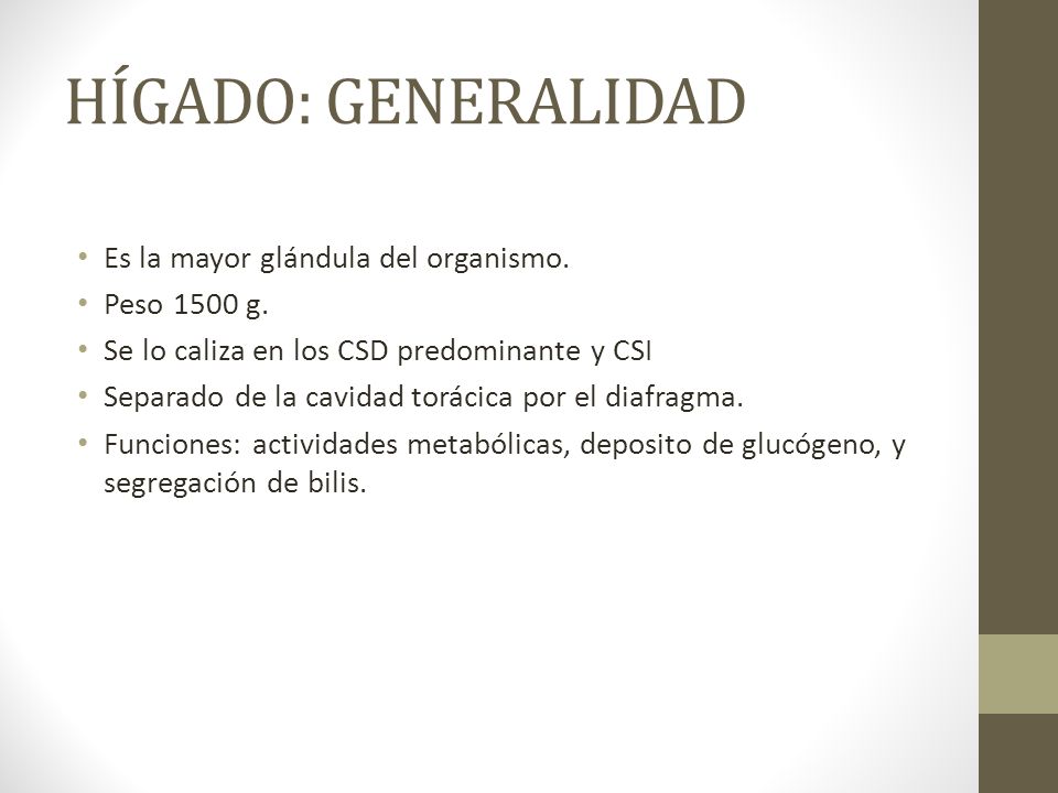 HÍGADO: GENERALIDAD Es la mayor glándula del organismo. Peso 1500 g.