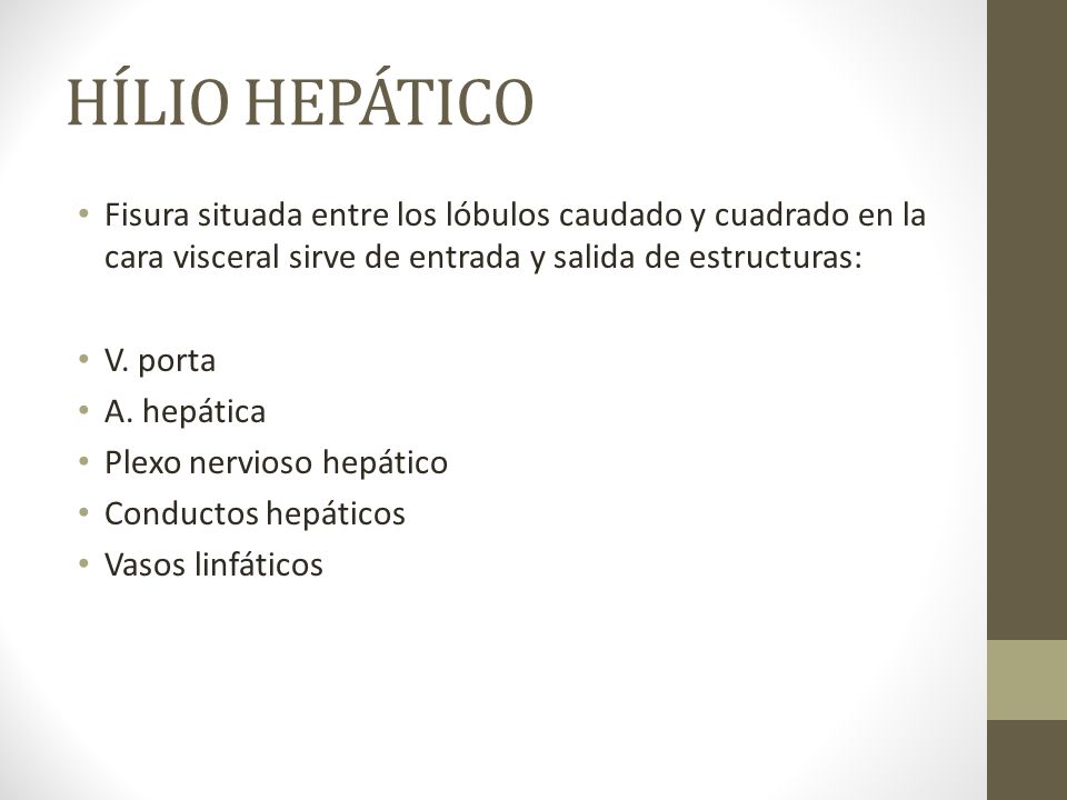 HÍLIO HEPÁTICO Fisura situada entre los lóbulos caudado y cuadrado en la cara visceral sirve de entrada y salida de estructuras: