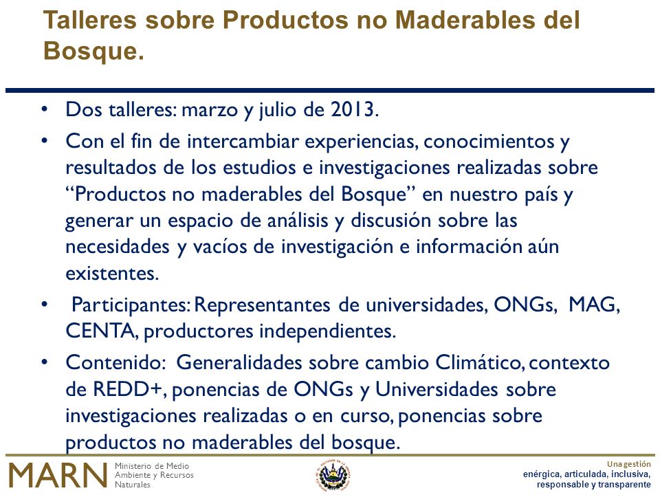 Talleres sobre Productos no Maderables del Bosque.
