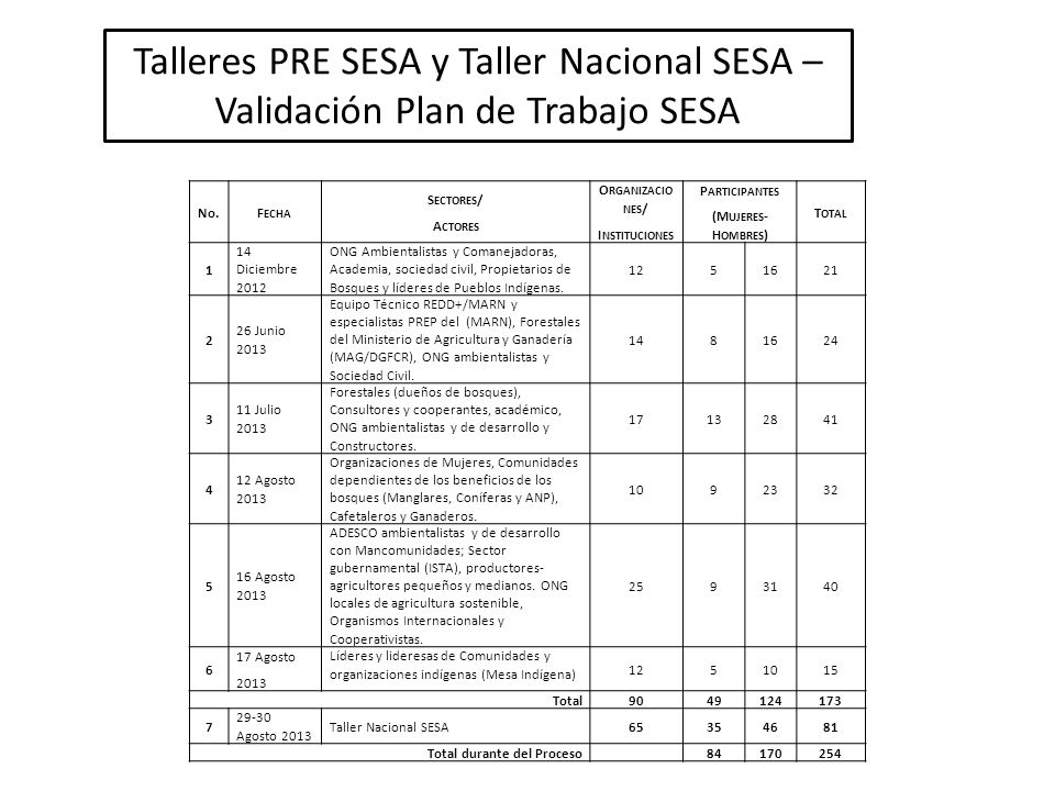 Talleres PRE SESA y Taller Nacional SESA – Validación Plan de Trabajo SESA