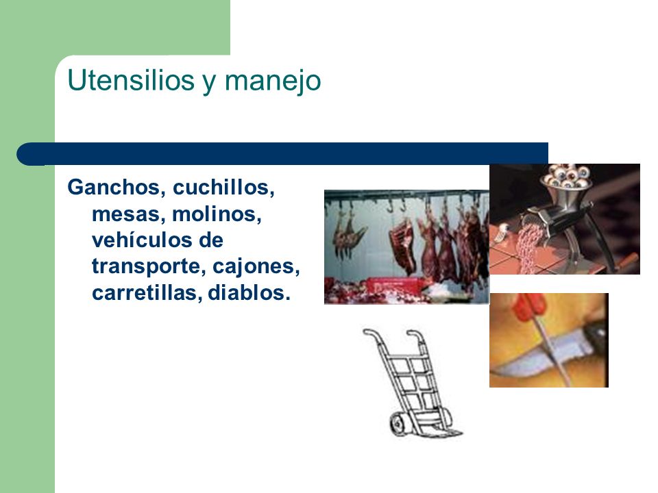 Utensilios y manejo Ganchos, cuchillos, mesas, molinos, vehículos de transporte, cajones, carretillas, diablos.