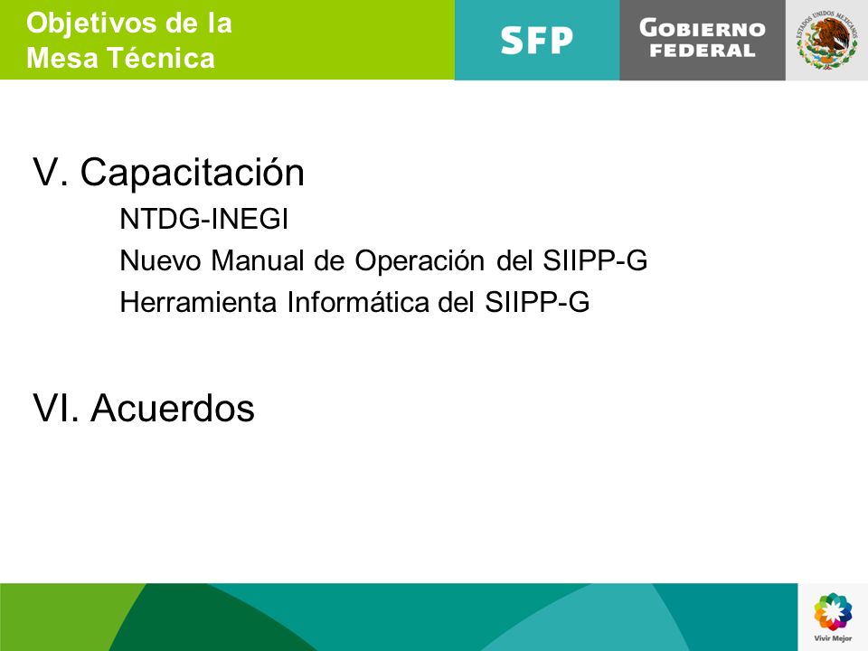 V. Capacitación VI. Acuerdos Objetivos de la Mesa Técnica NTDG-INEGI
